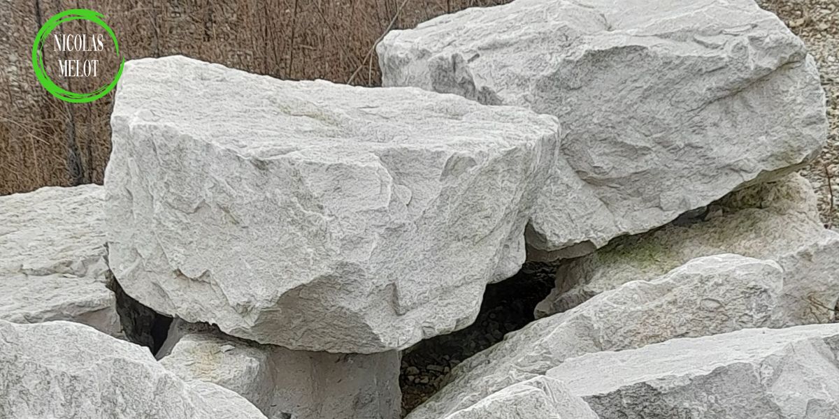 Cailloux Melot - Site internet Services Louhans